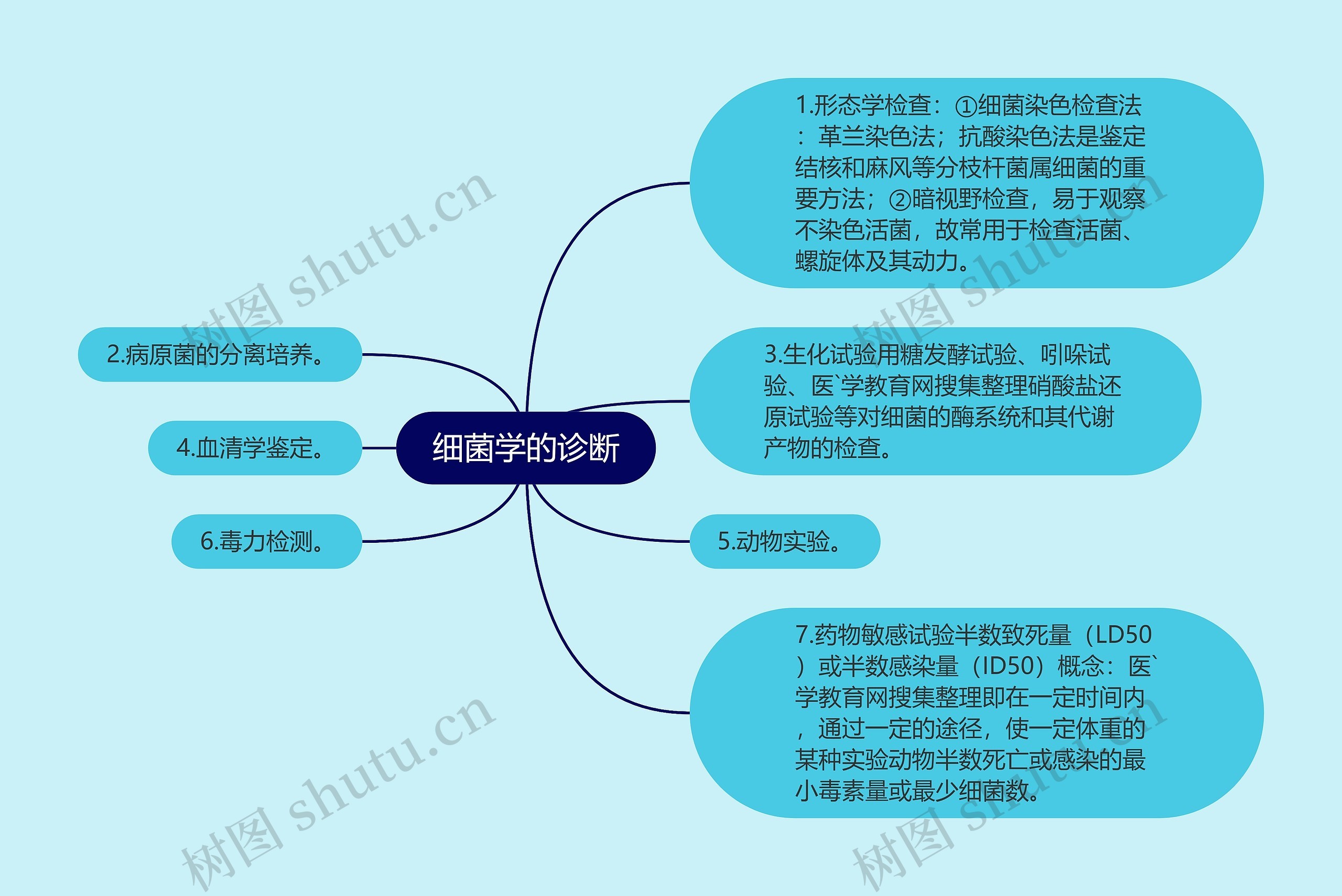 细菌学的诊断思维导图