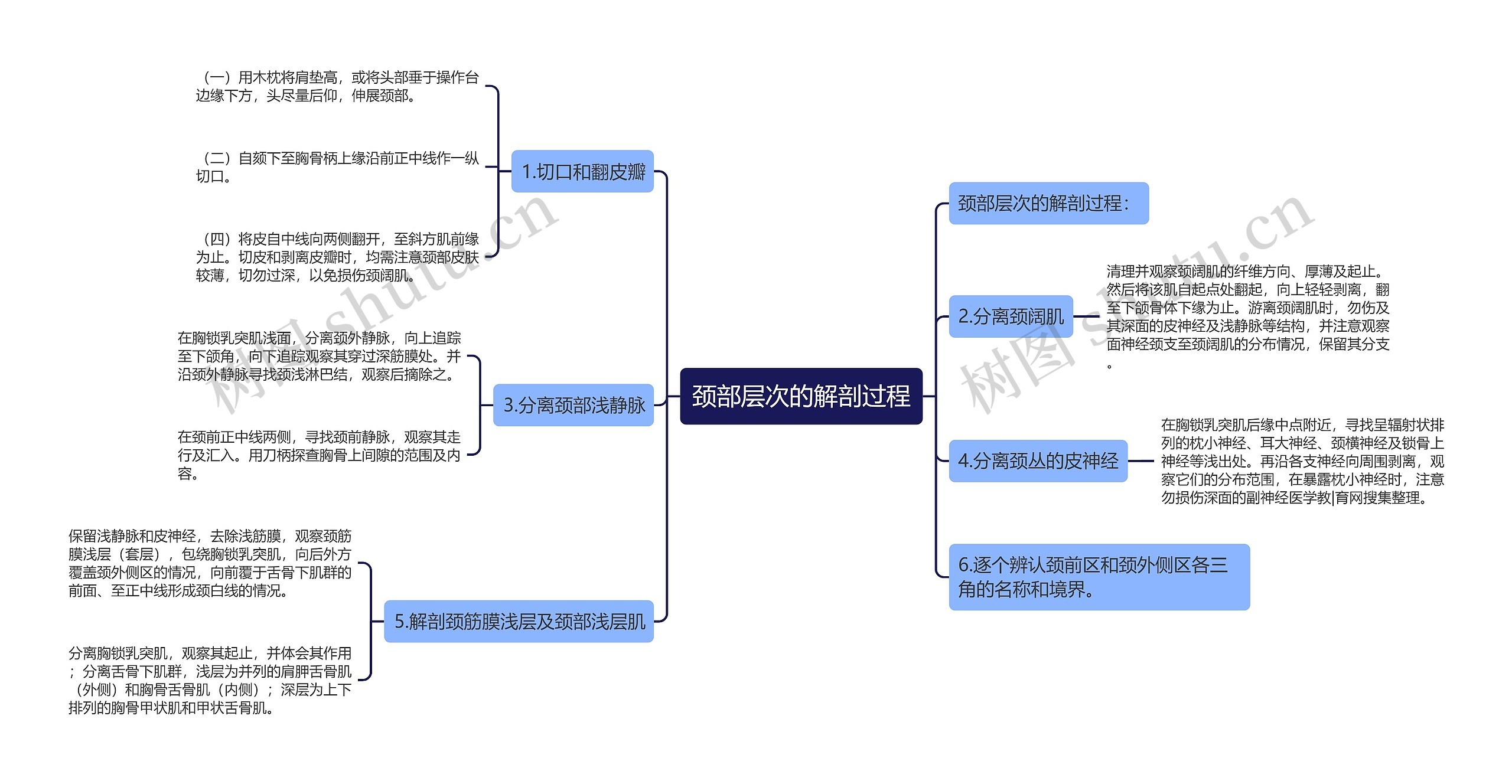 颈部层次的解剖过程