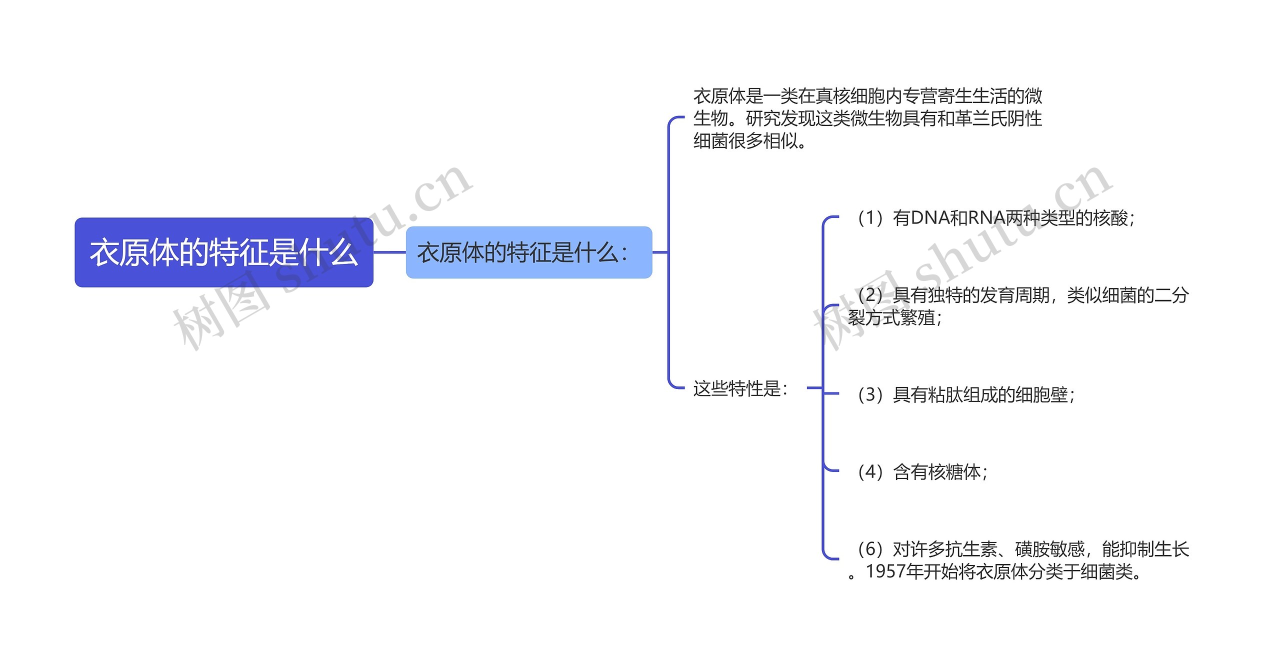 衣原体的特征是什么思维导图