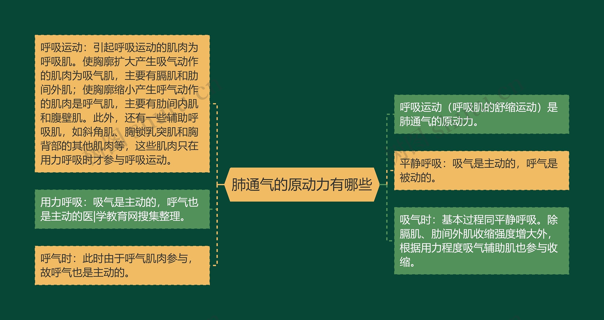 肺通气的原动力有哪些思维导图