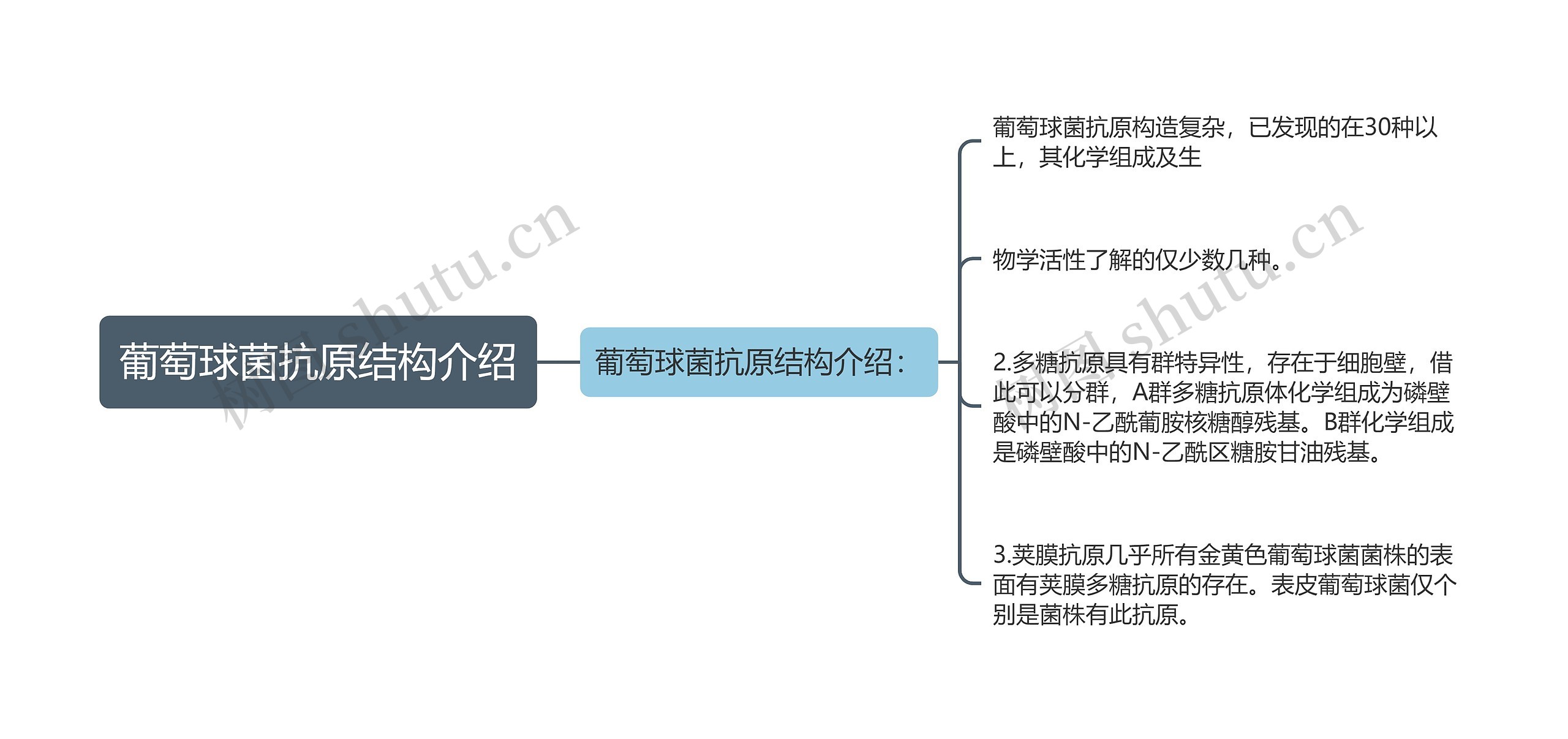 葡萄球菌抗原结构介绍思维导图