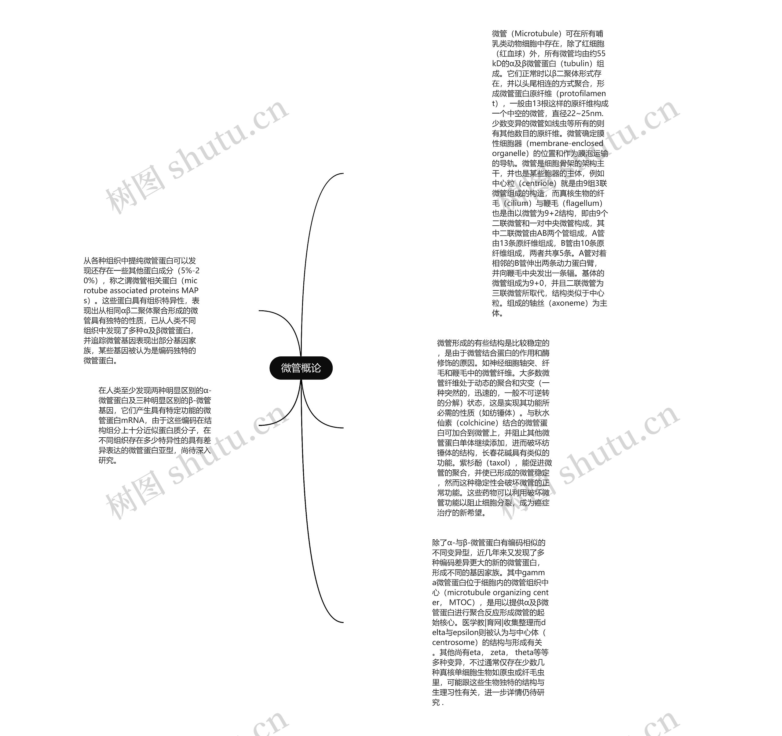 微管概论