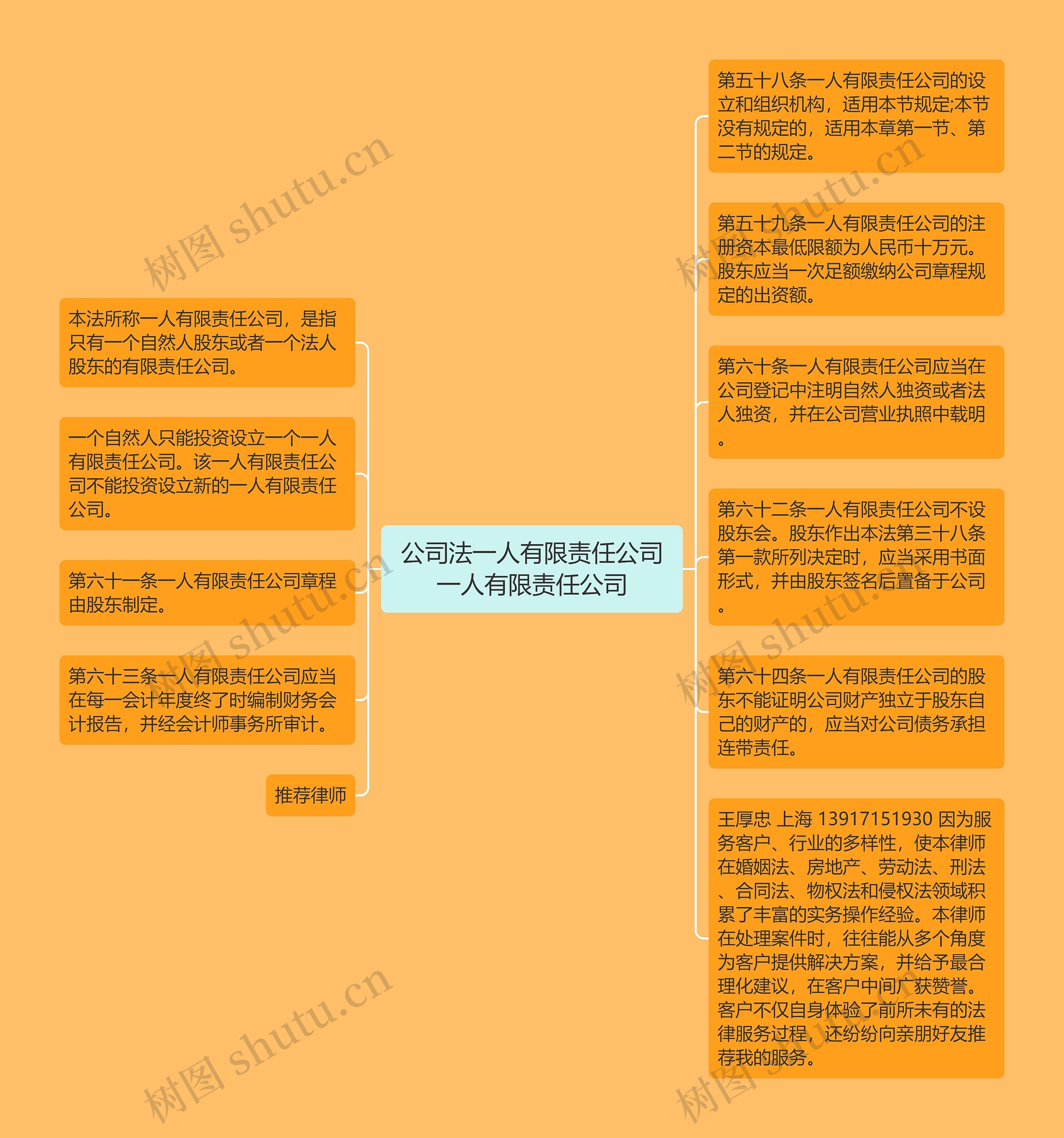 公司法一人有限责任公司一人有限责任公司