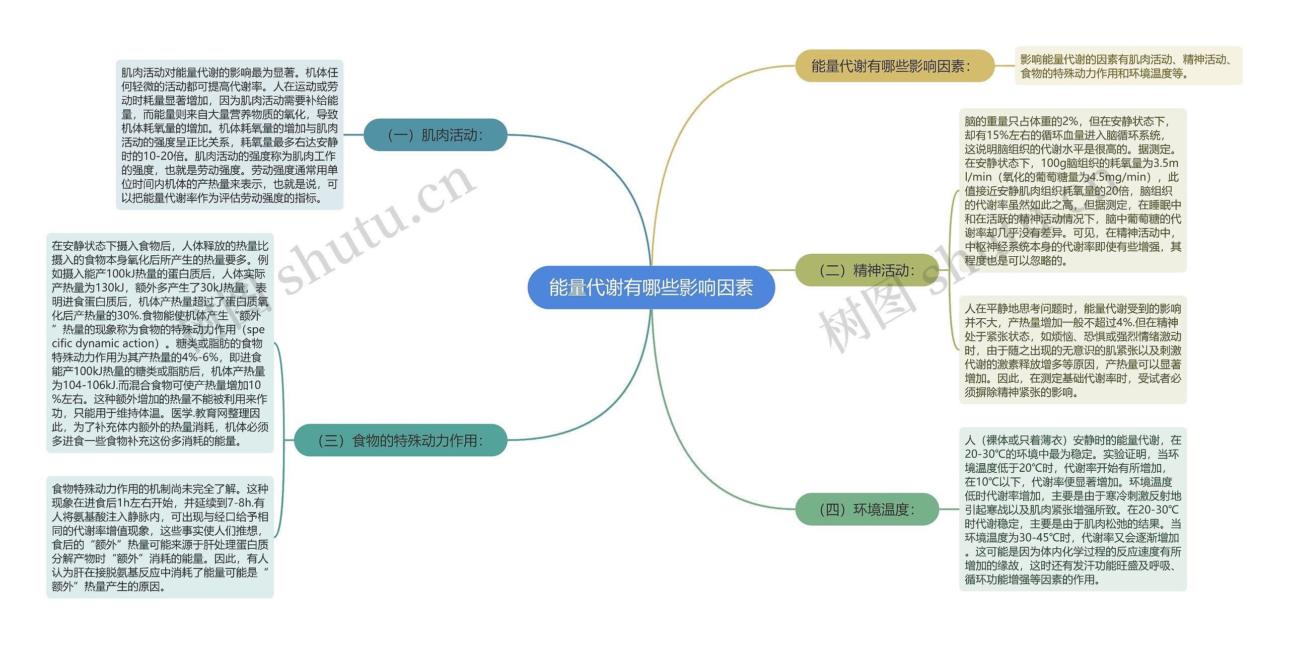 能量代谢有哪些影响因素思维导图