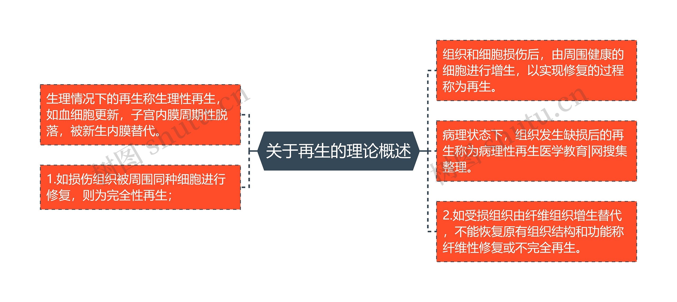 关于再生的理论概述思维导图