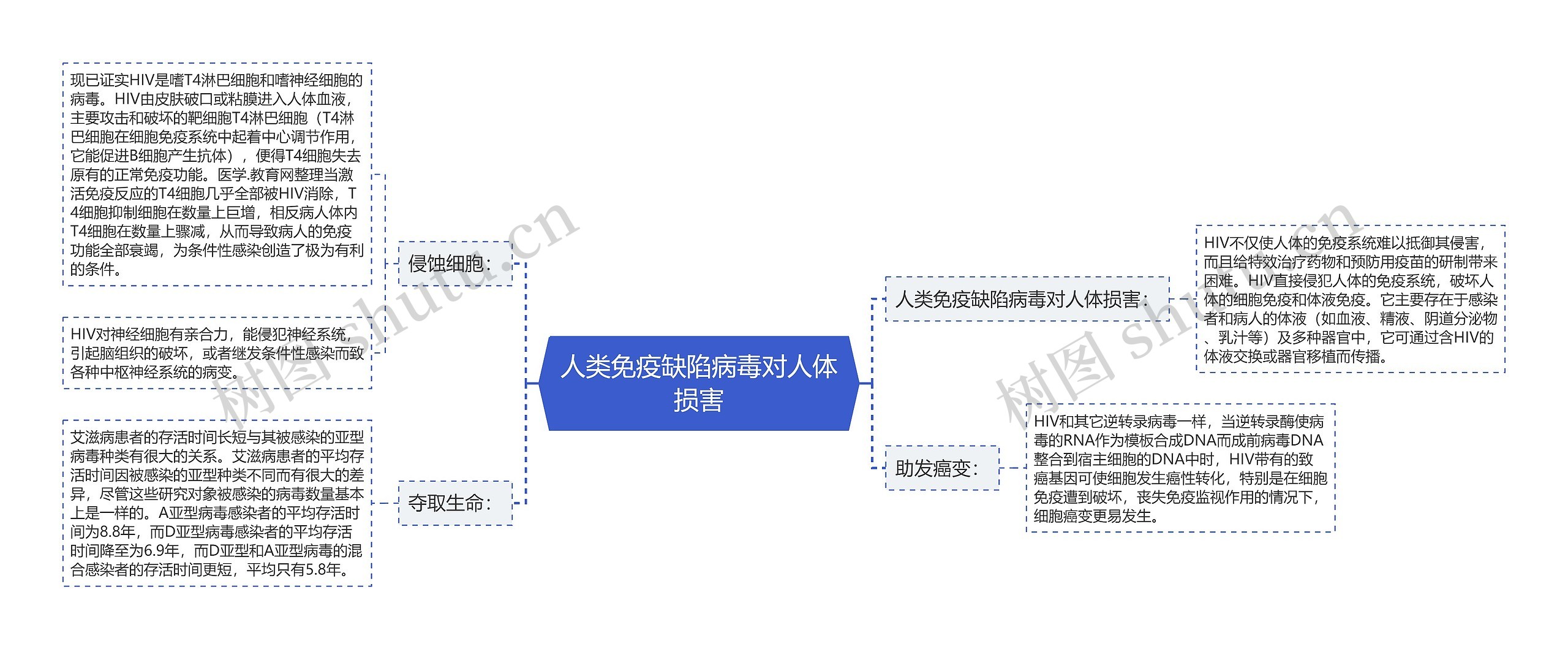 人类免疫缺陷病毒对人体损害思维导图