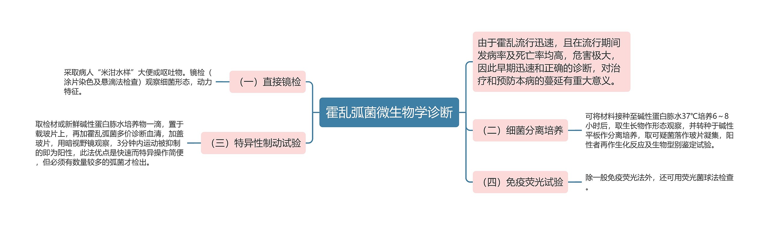 霍乱弧菌微生物学诊断思维导图