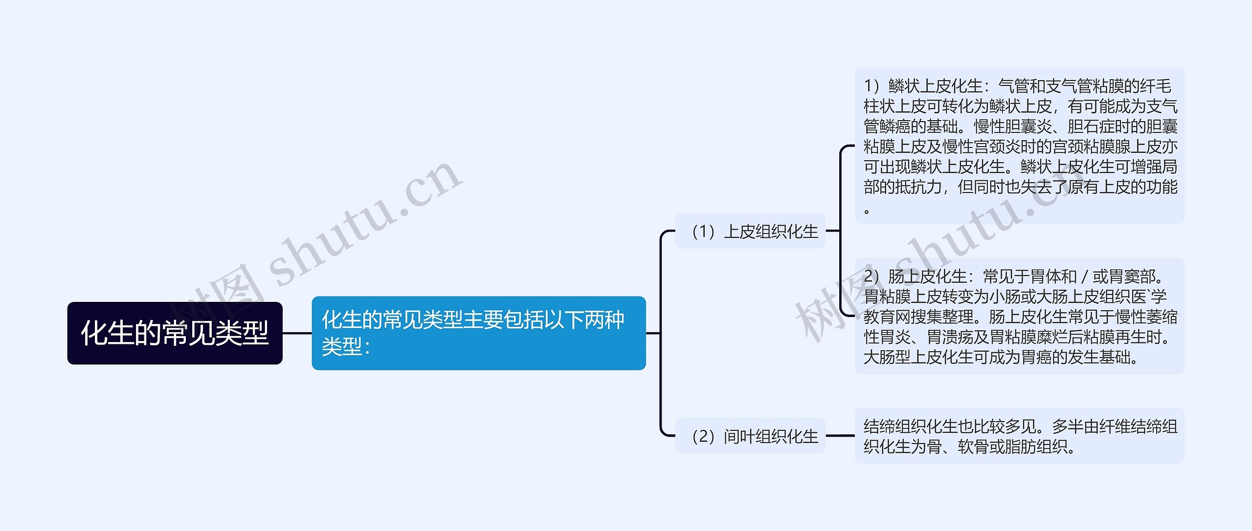 化生的常见类型思维导图