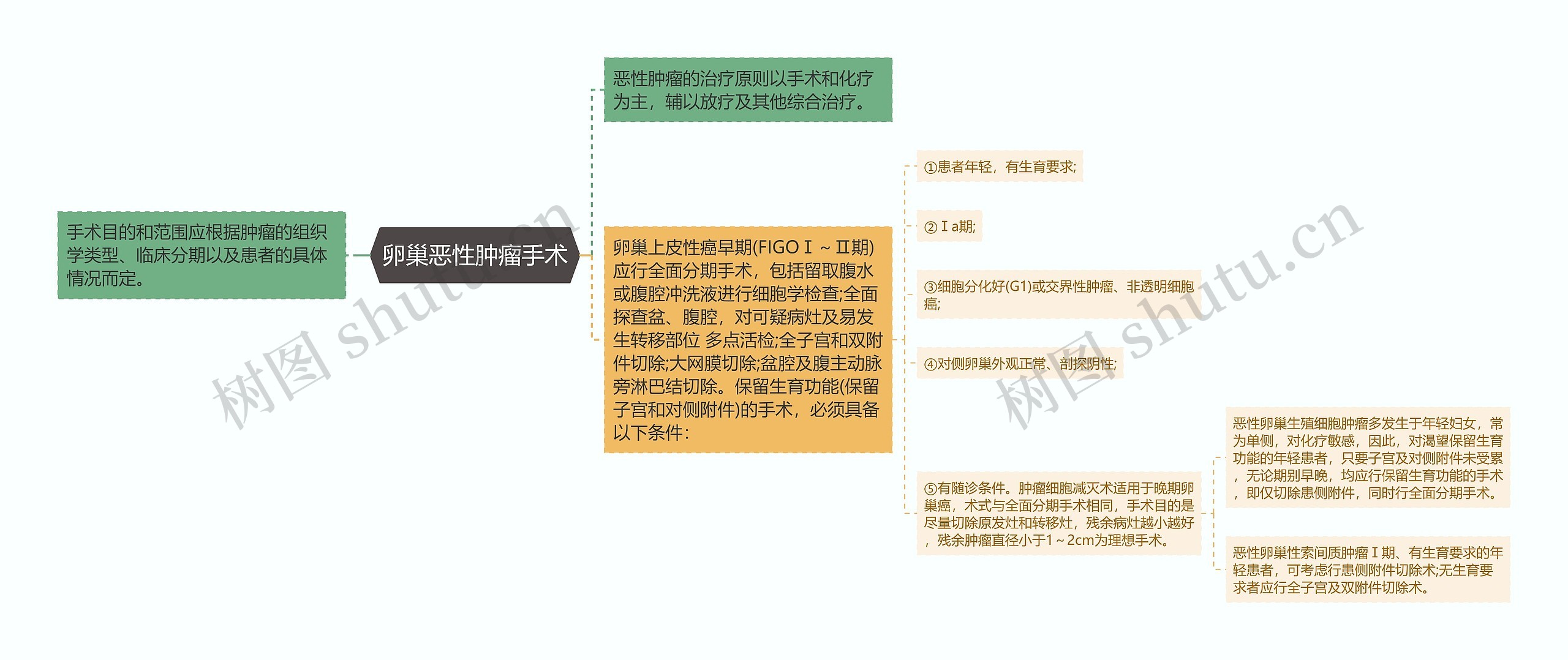 卵巢恶性肿瘤手术思维导图