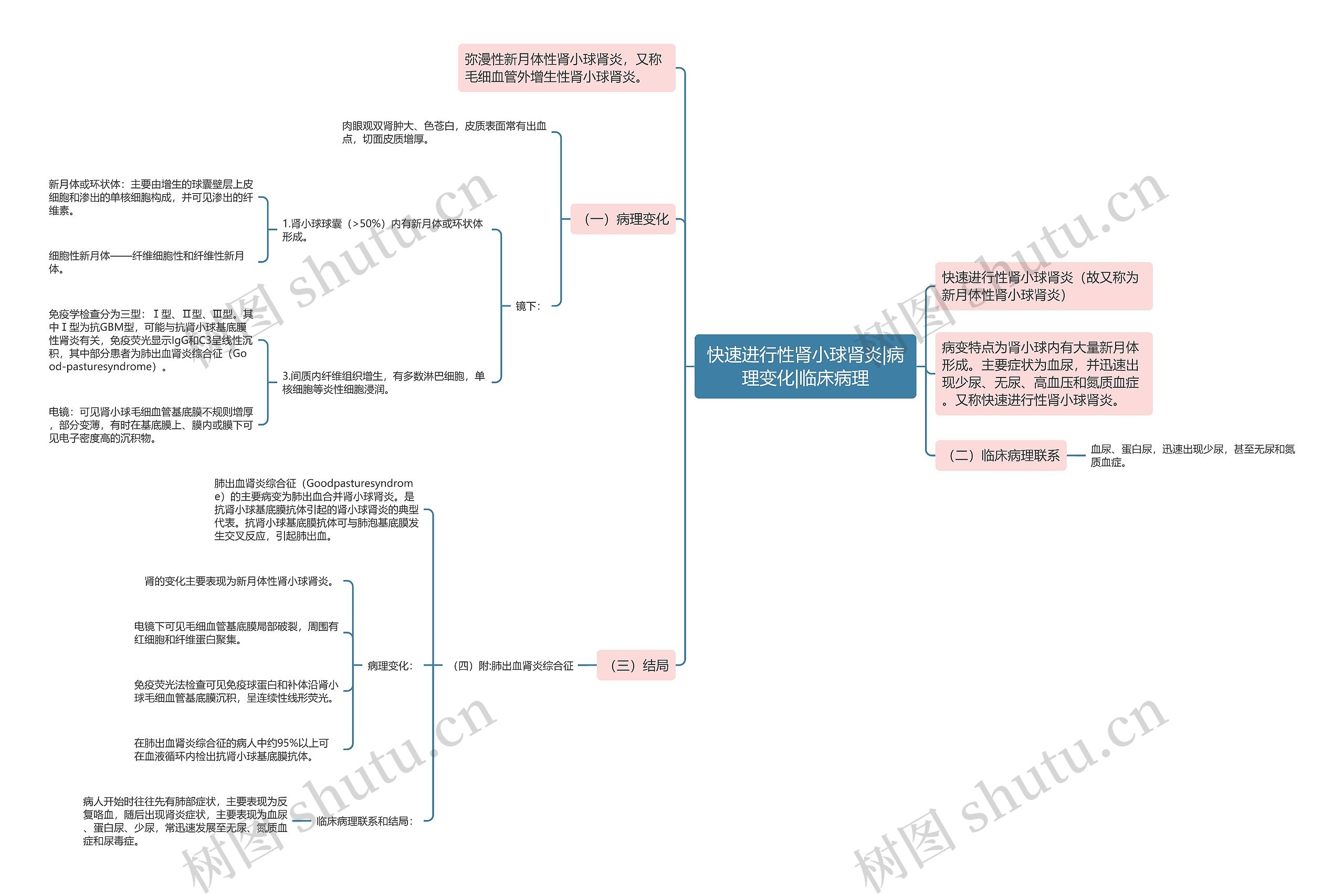 快速进行性肾小球肾炎|病理变化|临床病理思维导图