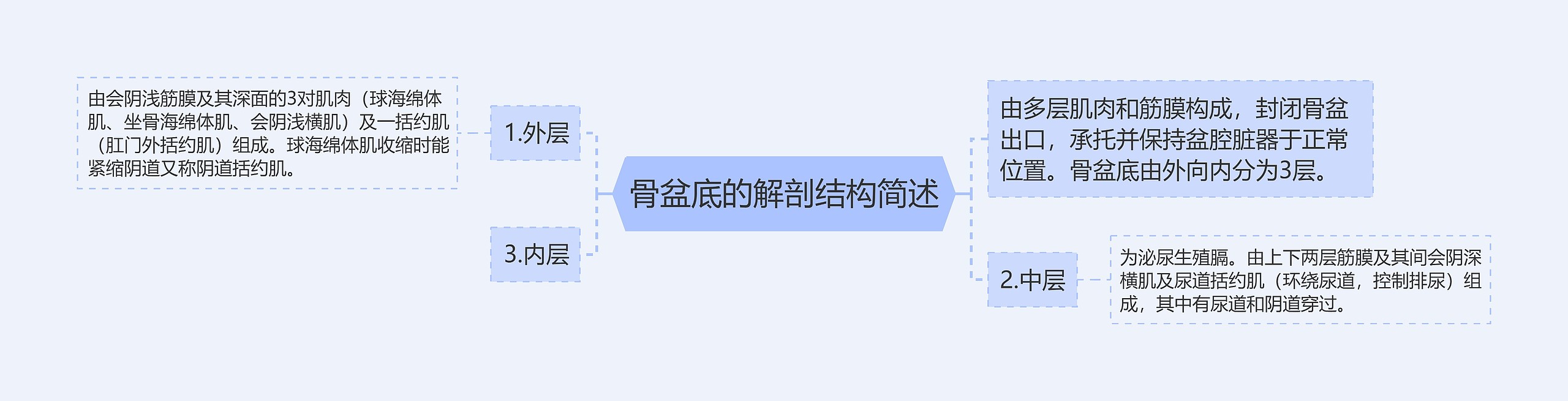 骨盆底的解剖结构简述思维导图