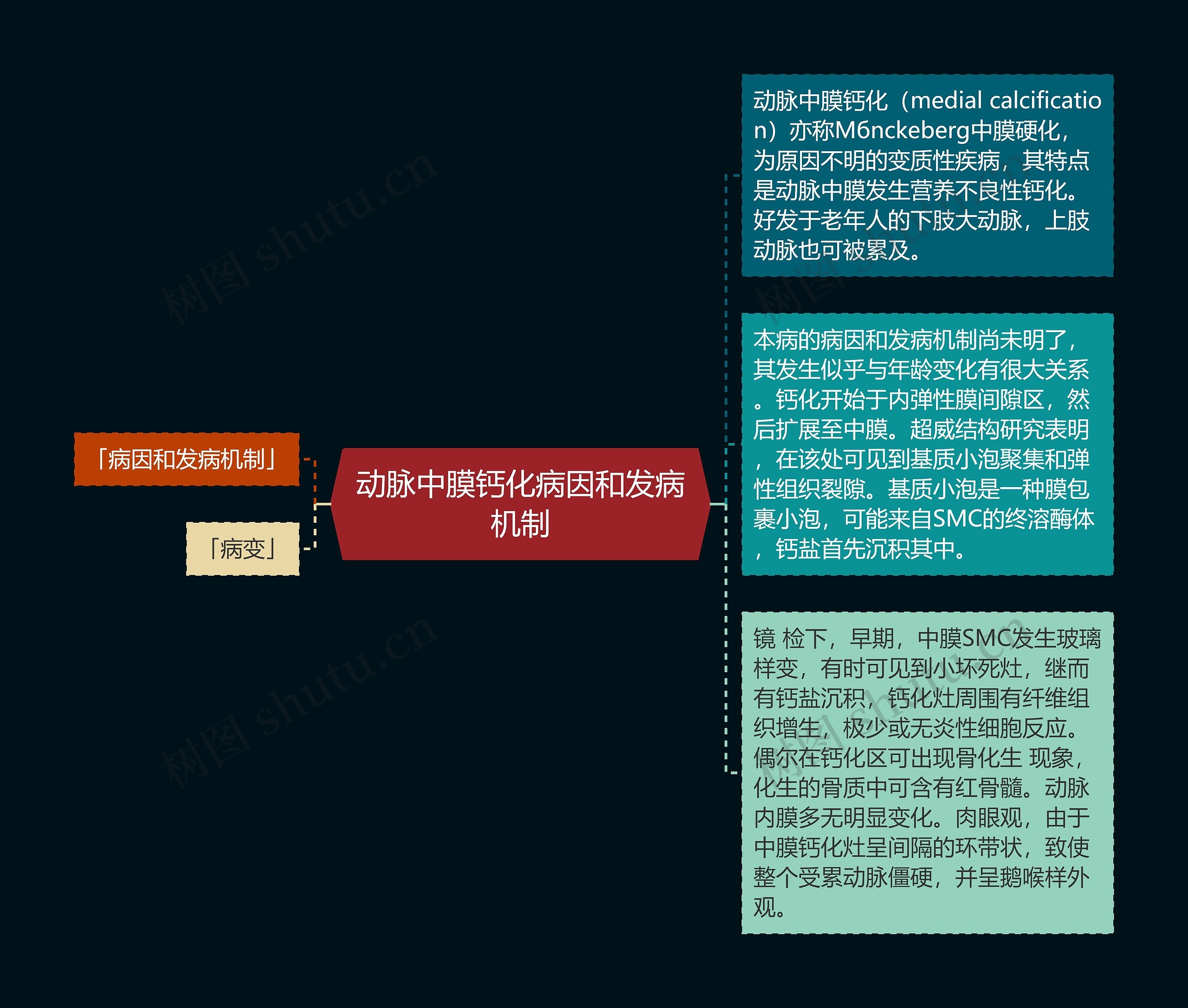 动脉中膜钙化病因和发病机制思维导图