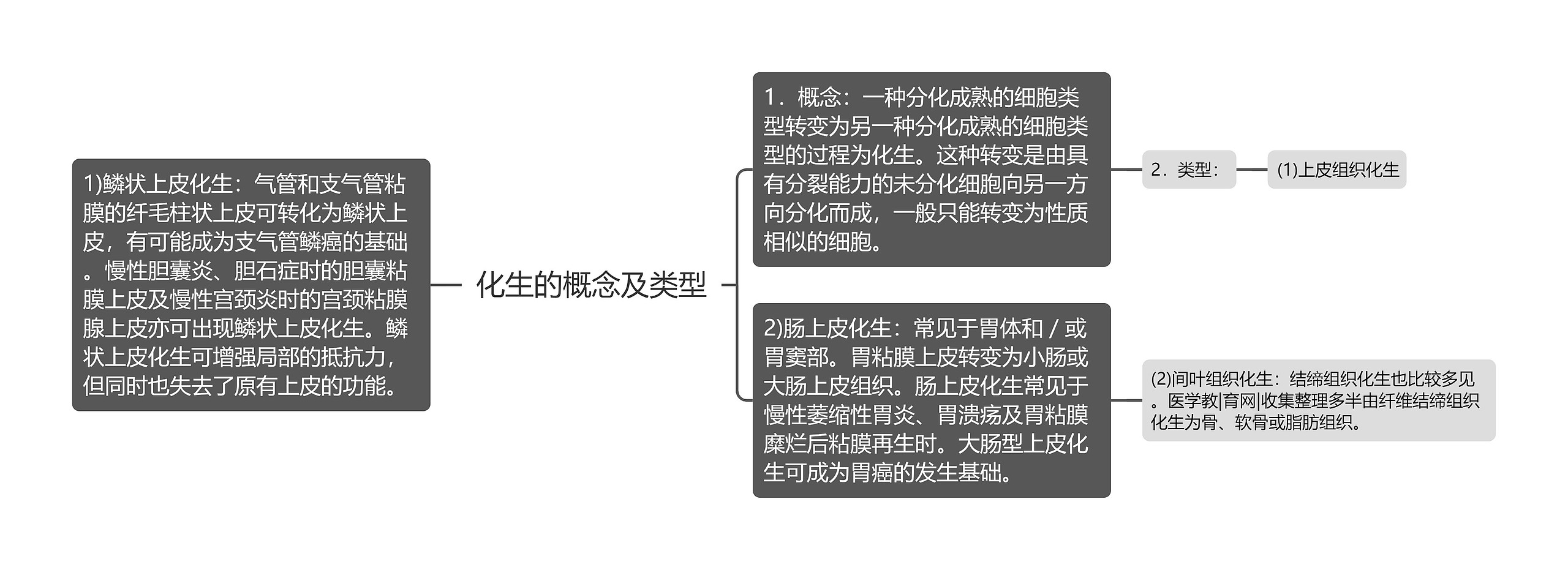 化生的概念及类型思维导图