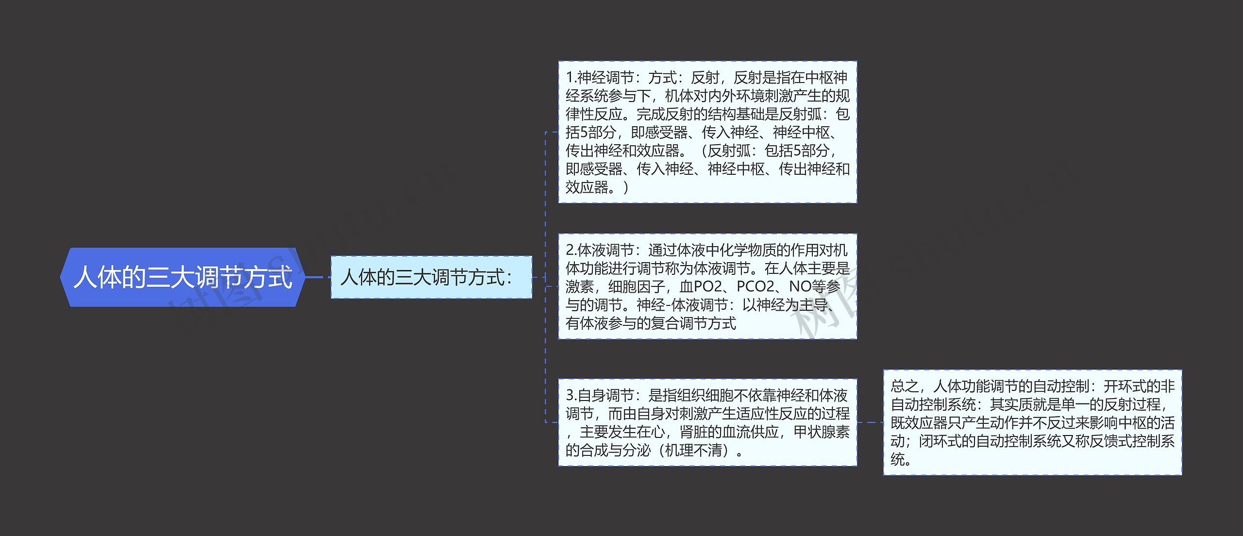 人体的三大调节方式 人体的三大调节方式
