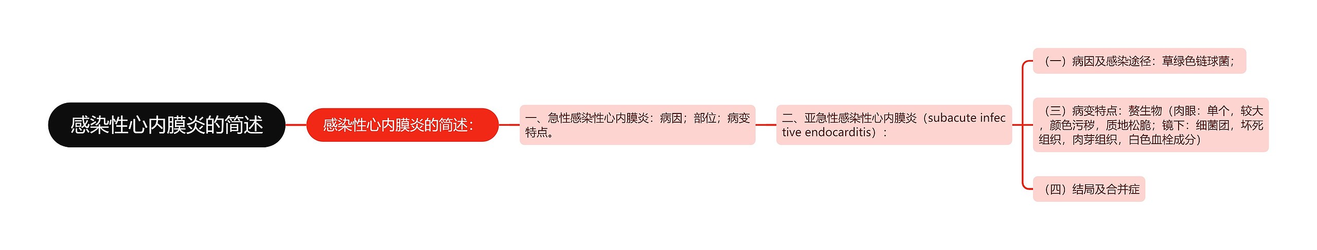 感染性心内膜炎的简述
