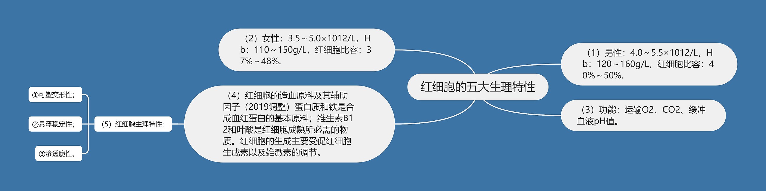 红细胞的五大生理特性思维导图