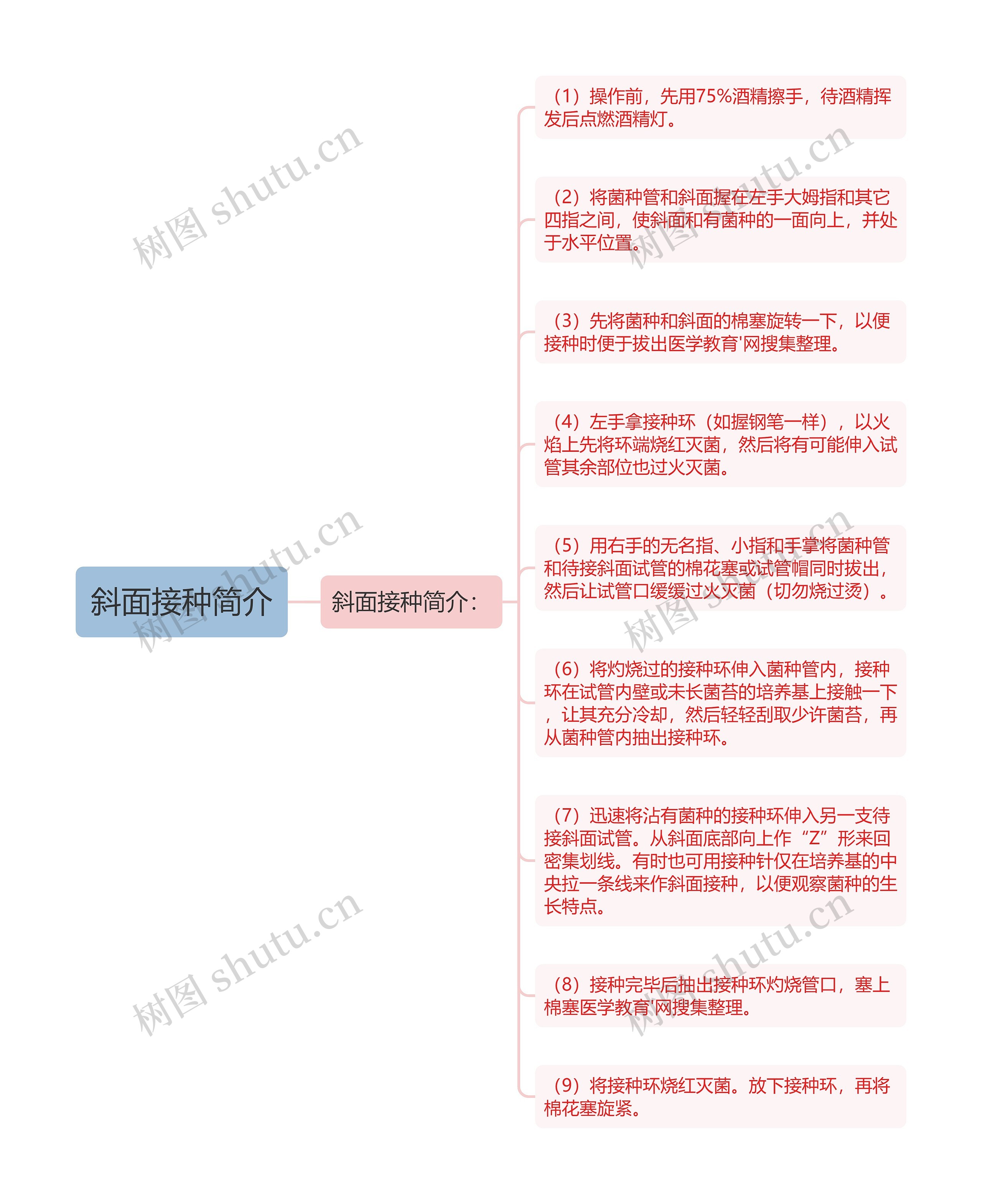 斜面接种简介思维导图