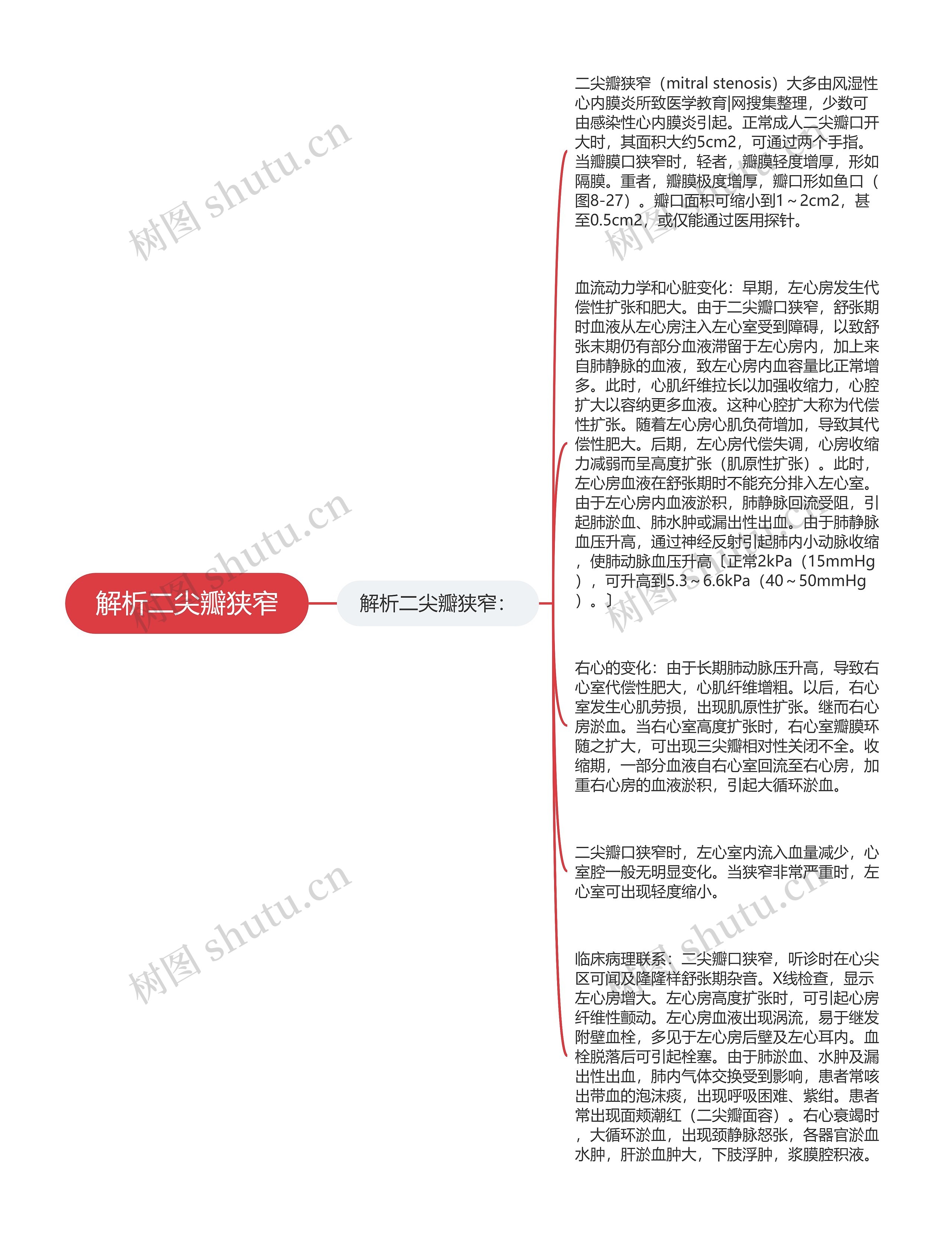 解析二尖瓣狭窄