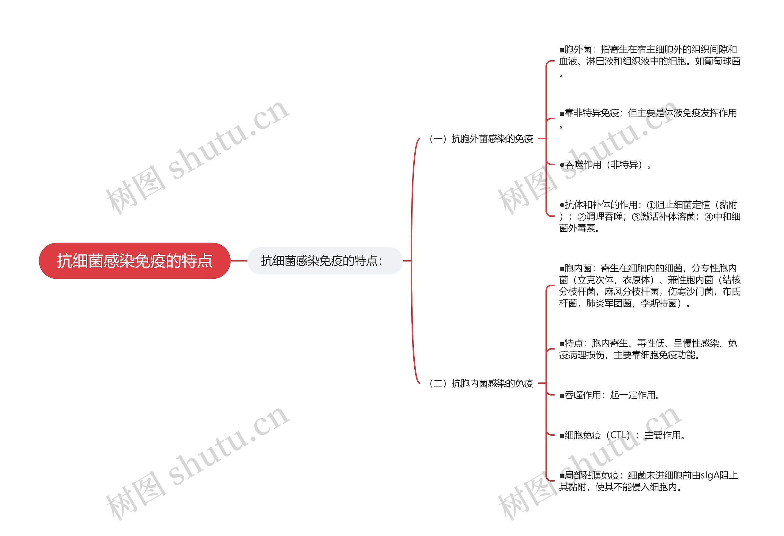 抗细菌感染免疫的特点