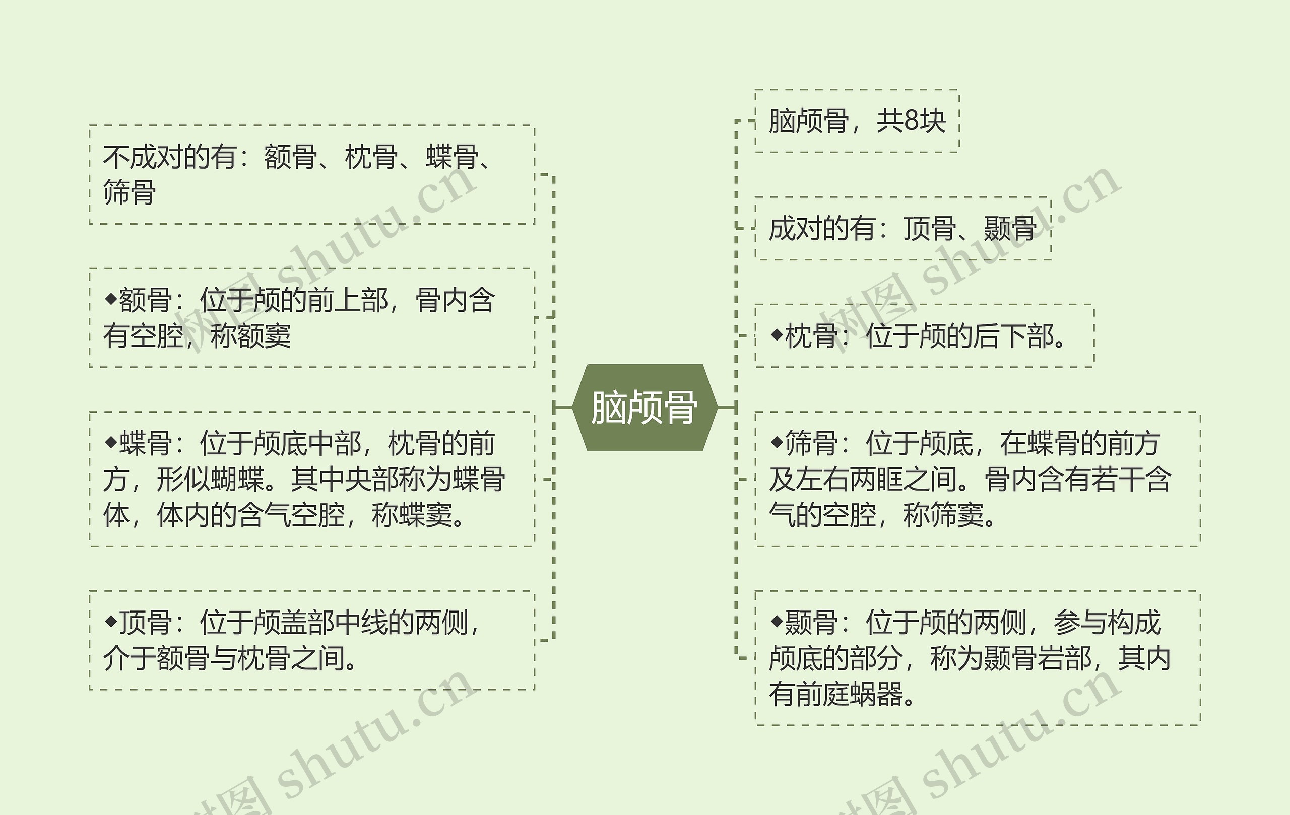 脑颅骨思维导图