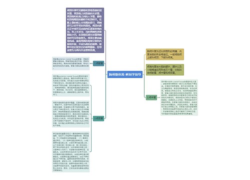 脑颅整体观-解剖学指导