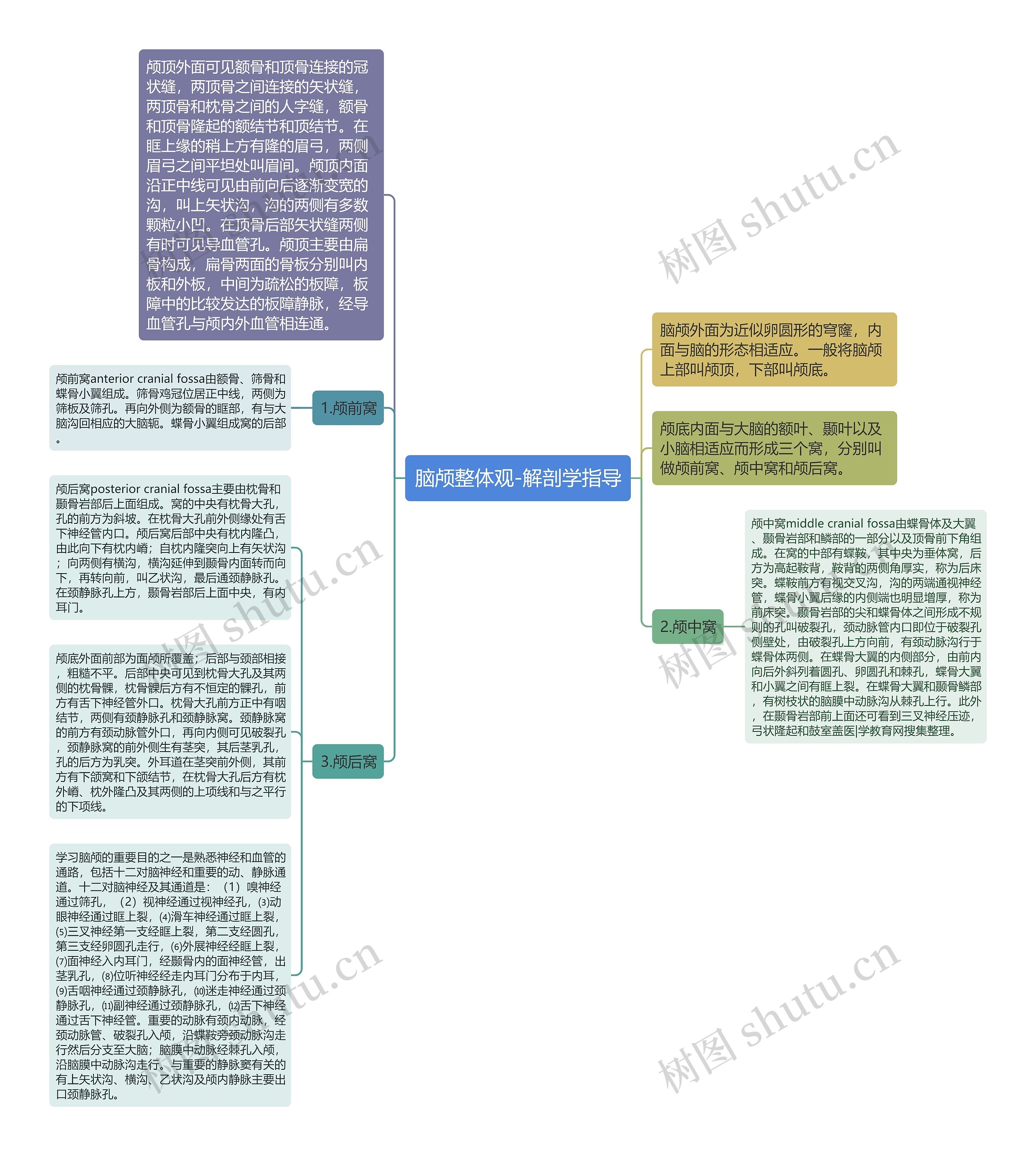 脑颅整体观-解剖学指导