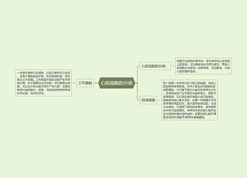 心肌细胞的分类