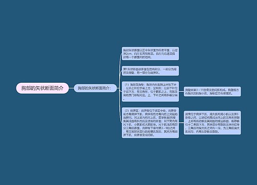 胸部的矢状断面简介