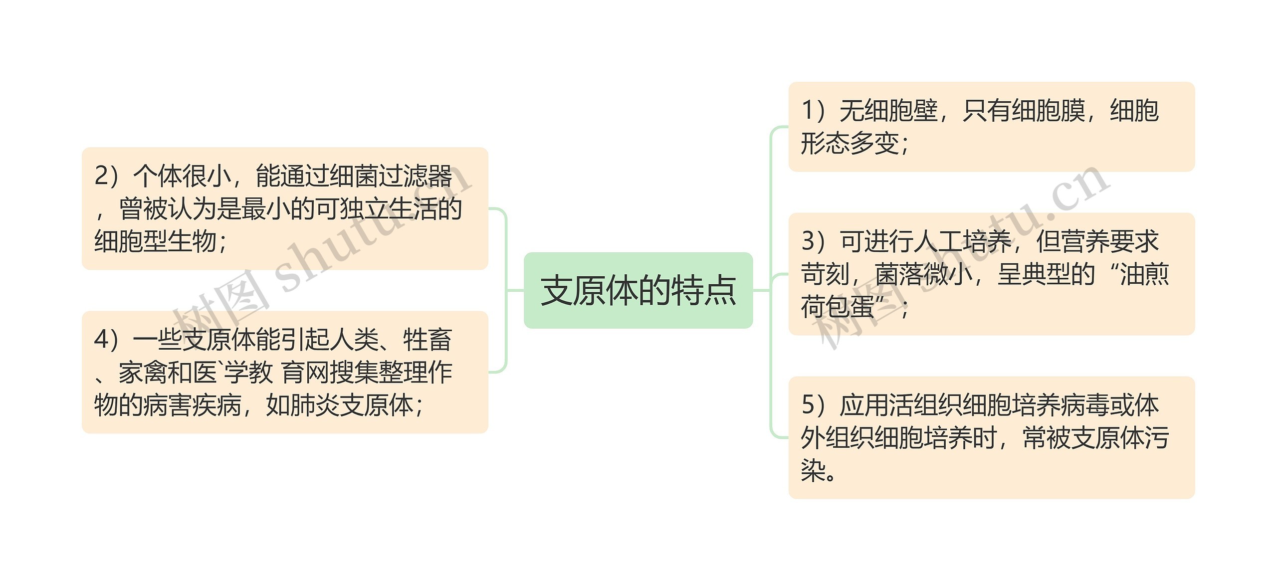 支原体的特点思维导图