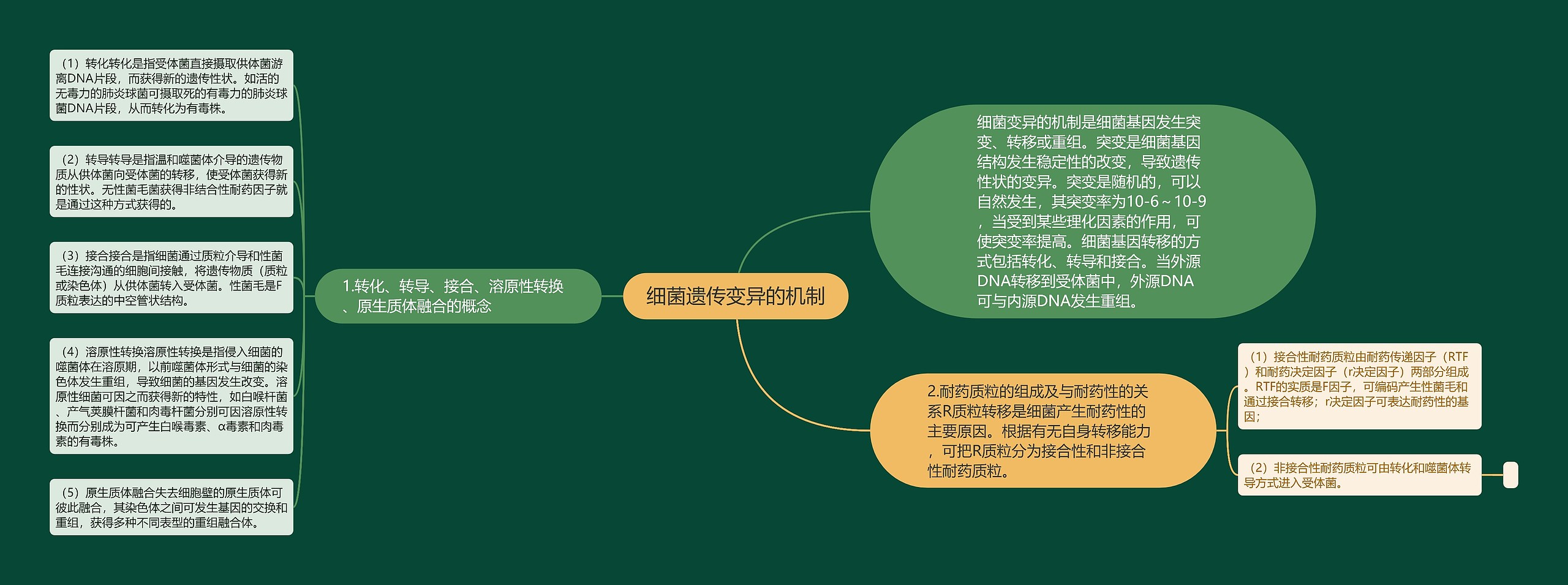 细菌遗传变异的机制 细菌遗传变异的机制