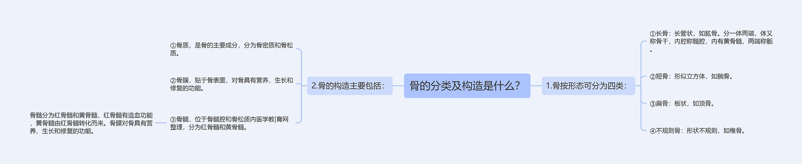 骨的分类及构造是什么？思维导图