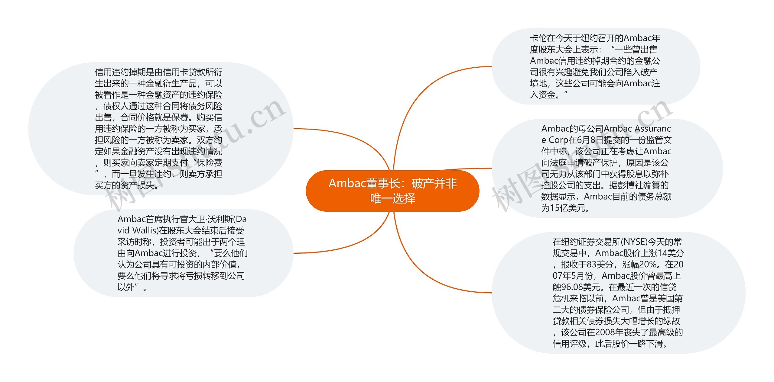 Ambac董事长：破产并非唯一选择