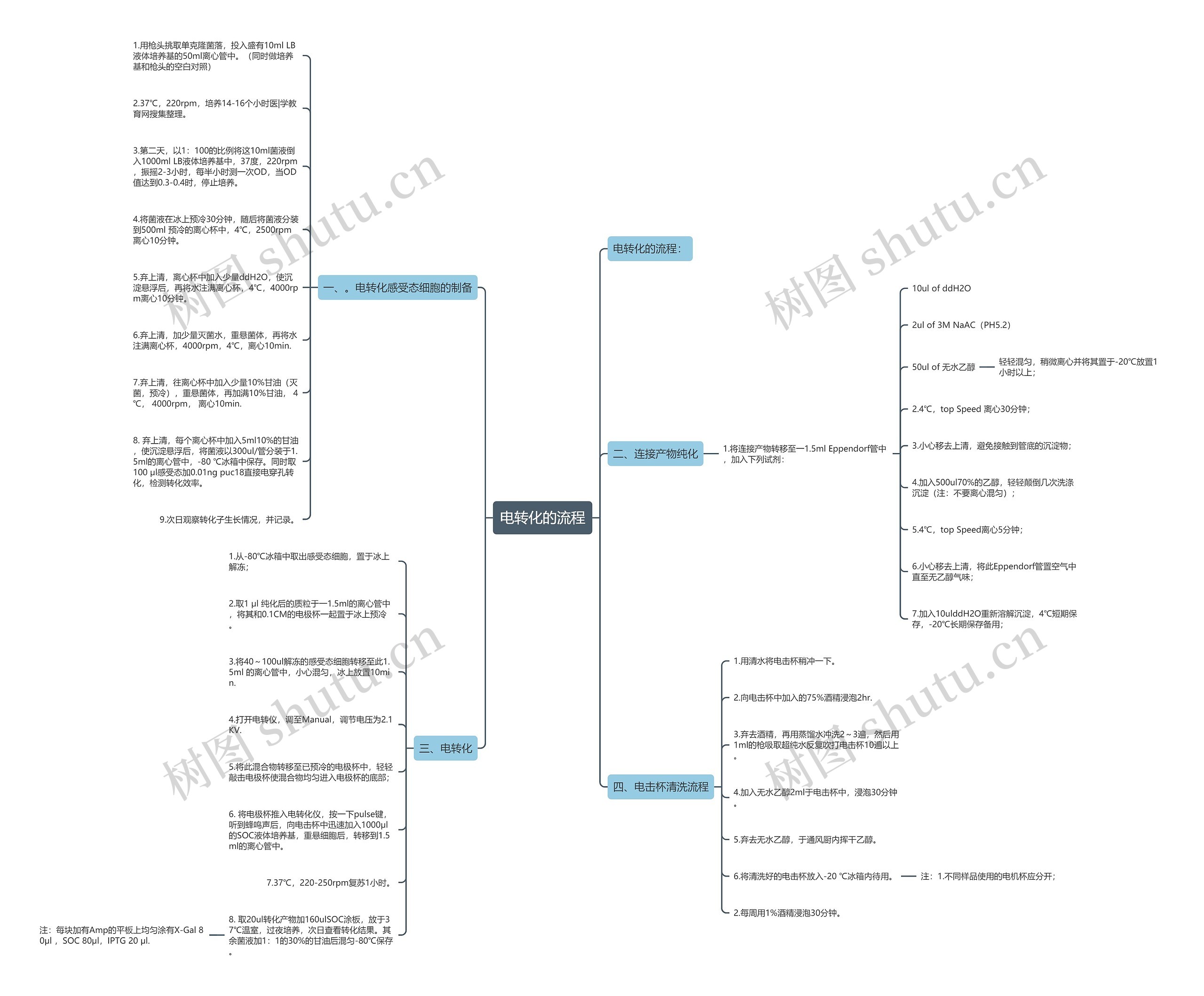 电转化的流程思维导图
