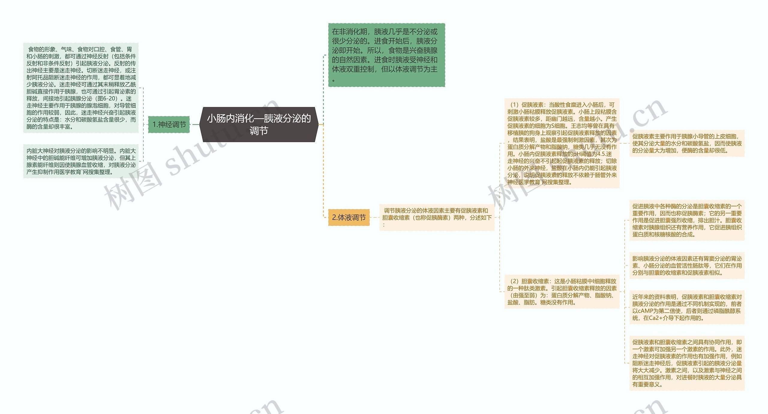 小肠内消化—胰液分泌的调节思维导图