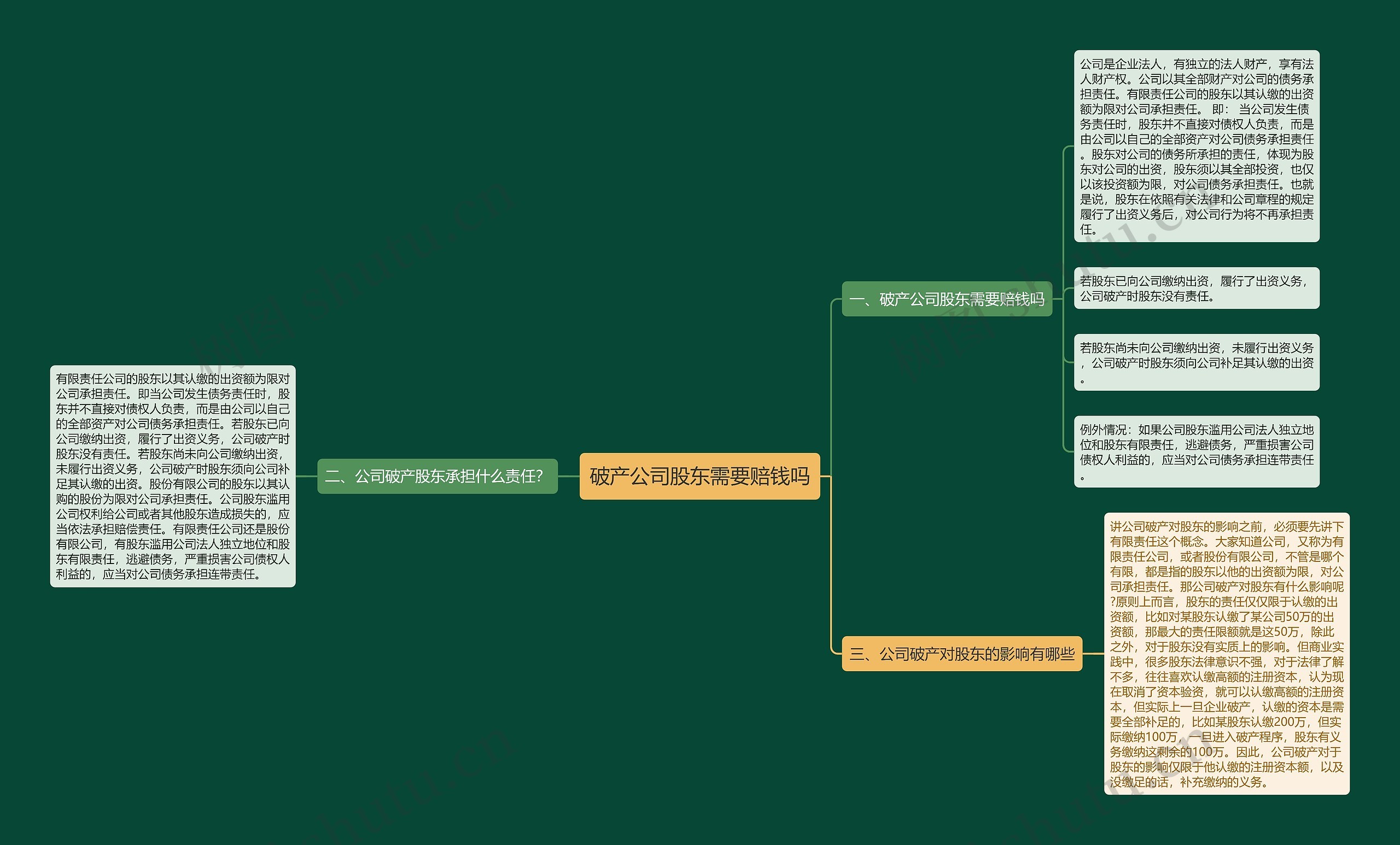 破产公司股东需要赔钱吗思维导图