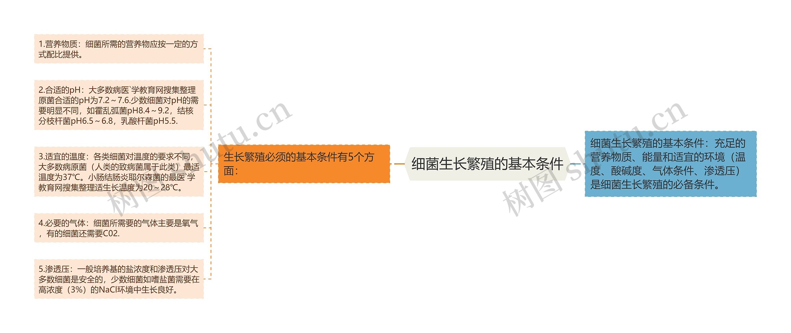 细菌生长繁殖的基本条件思维导图高清图 细菌生长繁殖的基本条件思维导图