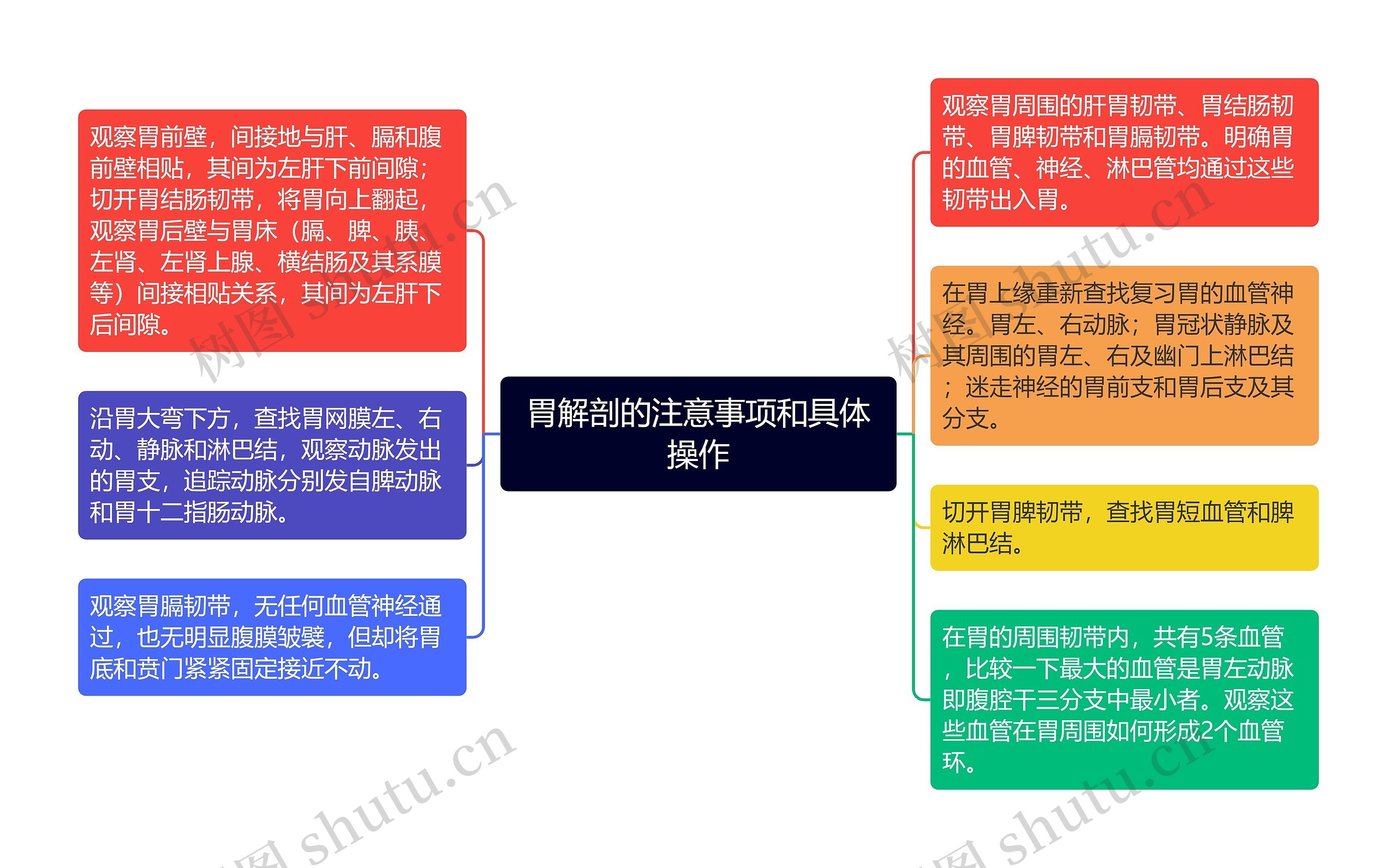 胃解剖的注意事项和具体操作思维导图