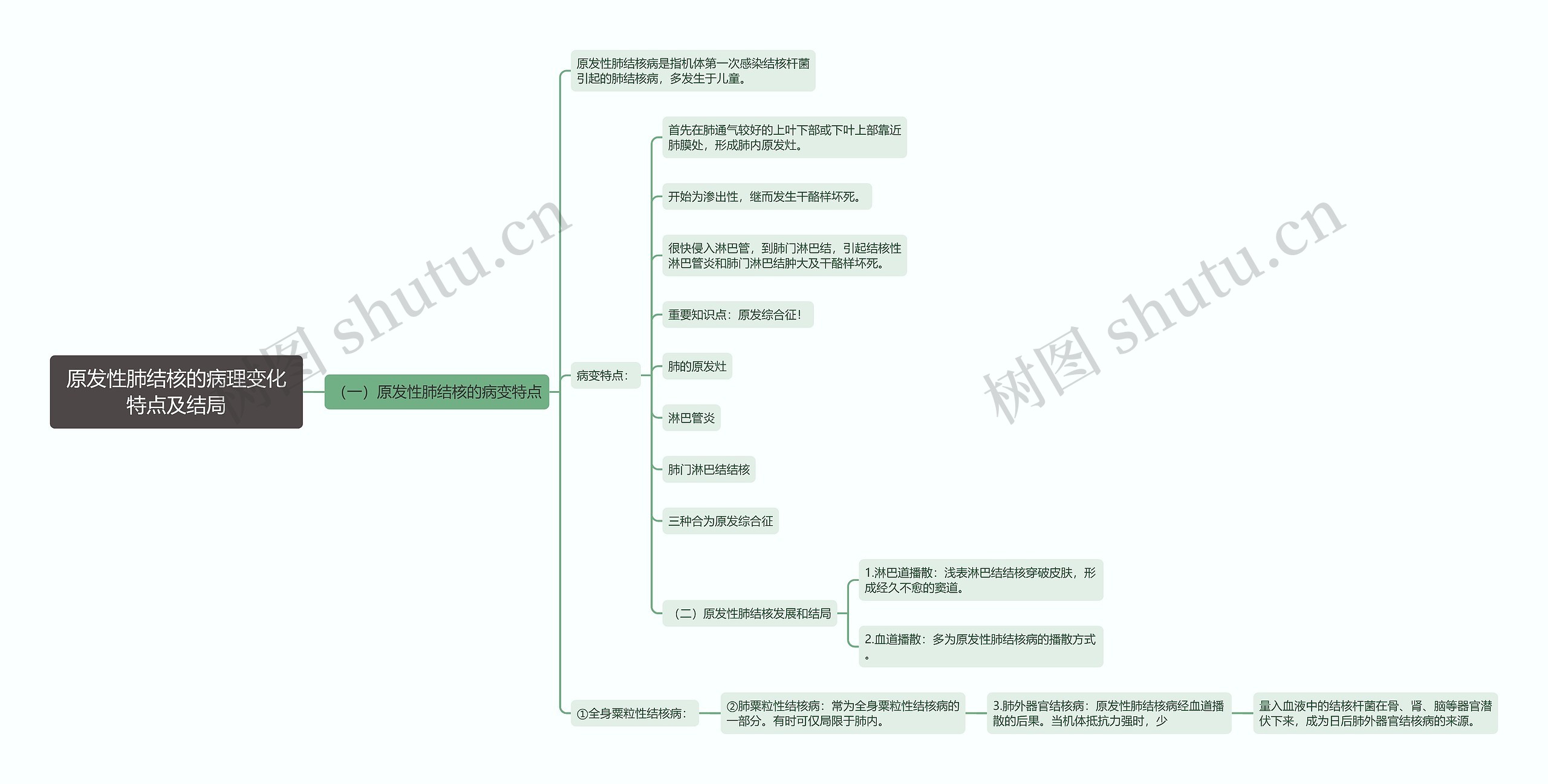 原发性肺结核的病理变化特点及结局思维导图