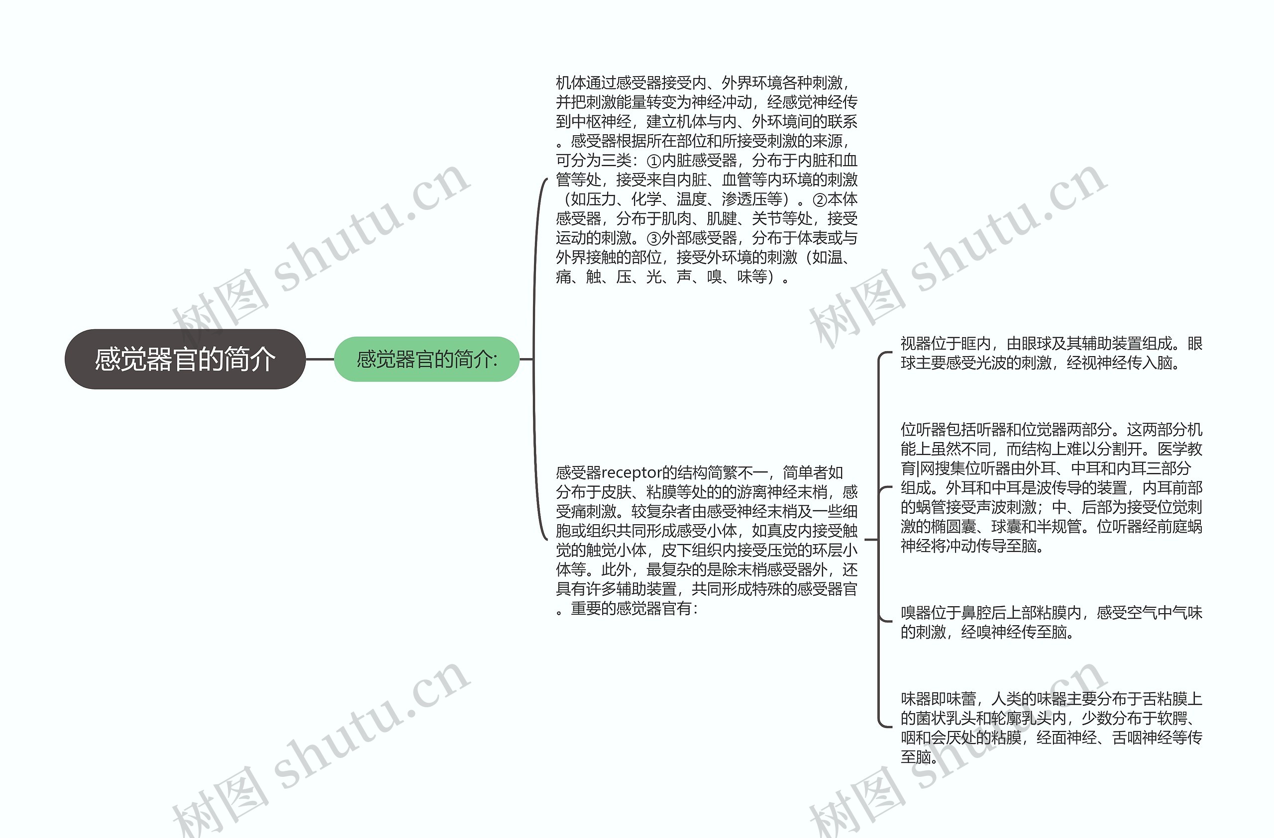 感觉器官的简介思维导图