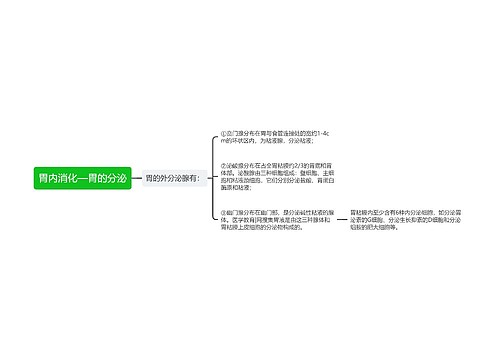 胃内消化—胃的分泌