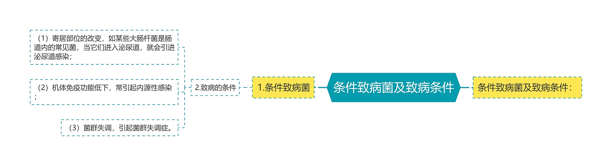 条件致病菌及致病条件