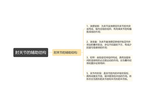 肘关节的辅助结构