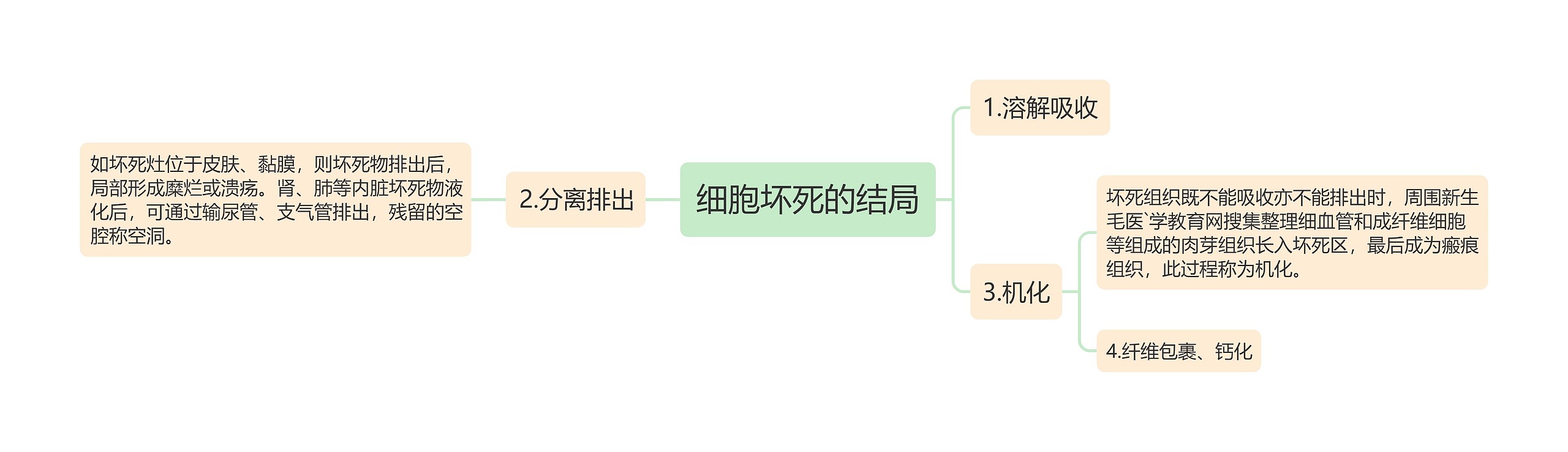 细胞坏死的结局思维导图