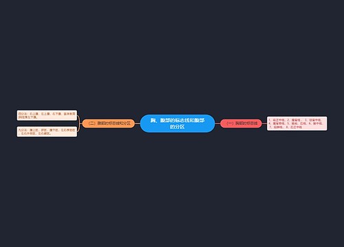 胸、腹部的标志线和腹部的分区