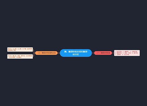 胸、腹部的标志线和腹部的分区