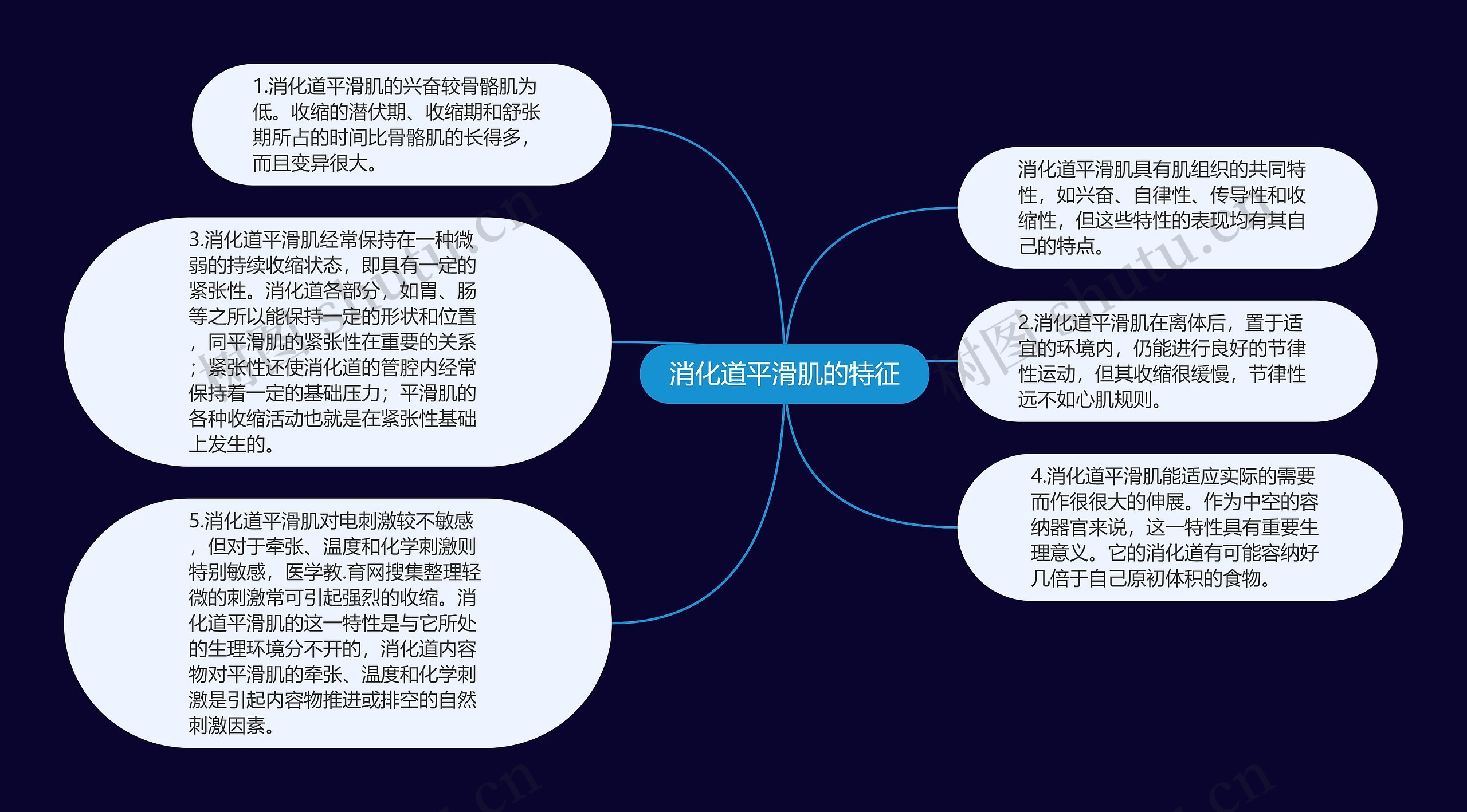 消化道平滑肌的特征