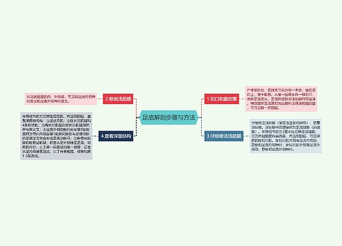 足底解剖步骤与方法