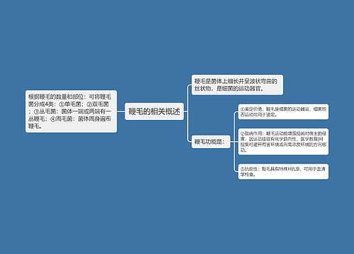 鞭毛的相关概述