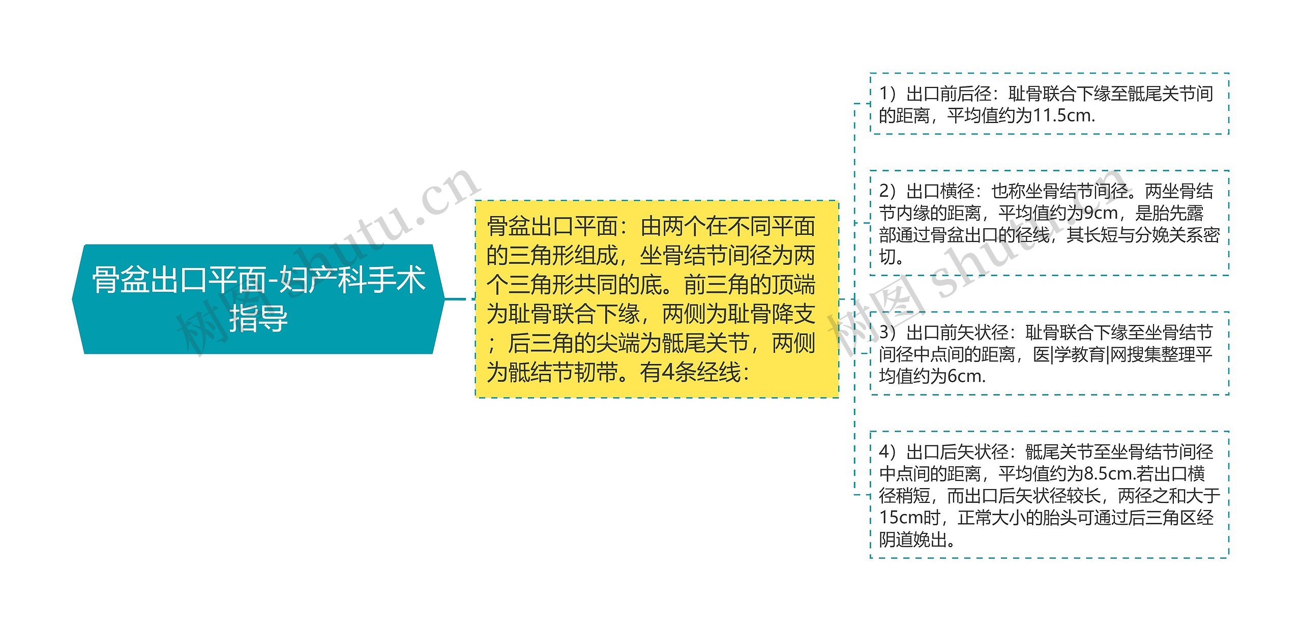 骨盆出口平面-妇产科手术指导 骨盆出口平面-妇产科手术指导