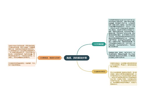 胸膜、肺的解剖步骤